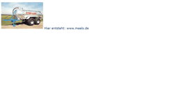 Desktop Screenshot of meels.de